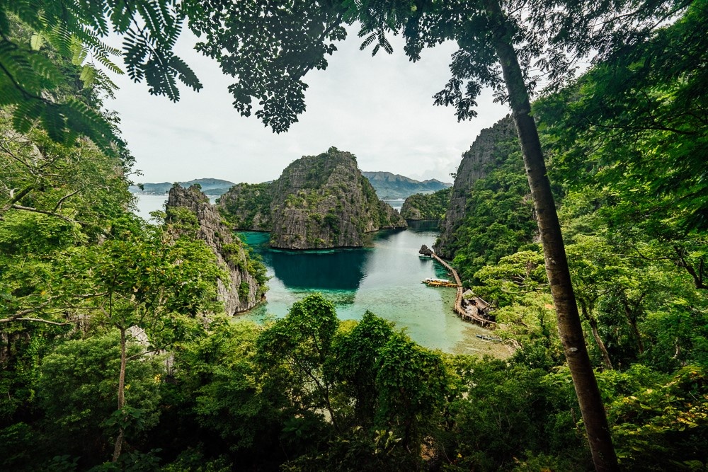 co gi o thien duong nhiet doi coron palawan dang khien gioi tre xon xao