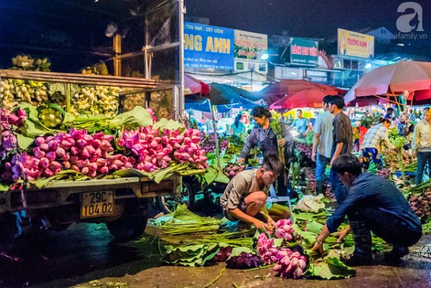 nhung ngay dau thang 6 cho hoa quang ba co them huong sac cua ca ngan bong sen