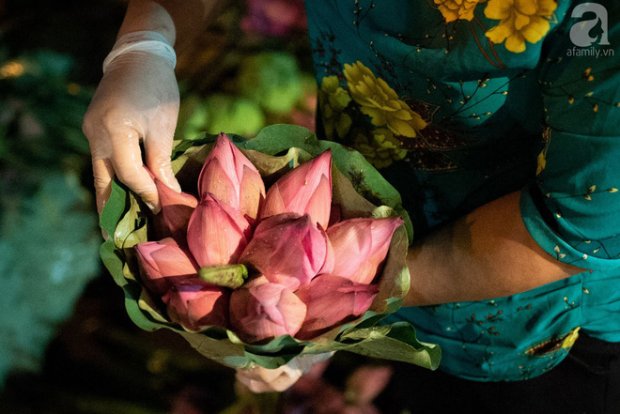 nhung ngay dau thang 6 cho hoa quang ba co them huong sac cua ca ngan bong sen