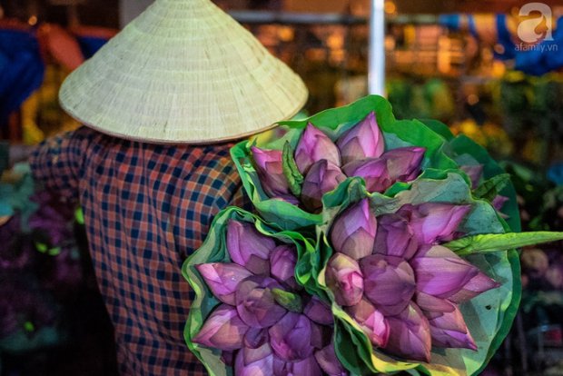 nhung ngay dau thang 6 cho hoa quang ba co them huong sac cua ca ngan bong sen
