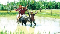khach tay giat minh nhan chiec bat lua tu nguoi ban hang rong