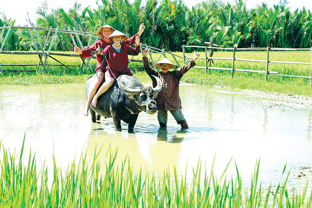 khach tay khoai du lich cuoi trau ra dong