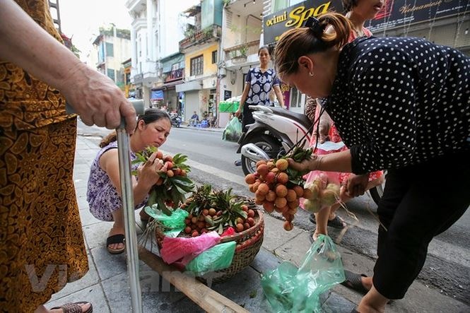 nguoi ha noi nhon nhip sam tet doan ngo ruou nep cam hut khach