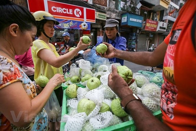nguoi ha noi nhon nhip sam tet doan ngo ruou nep cam hut khach