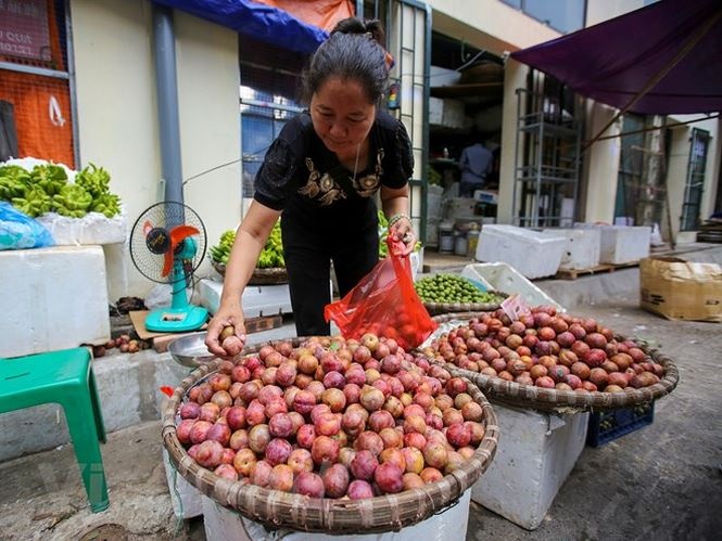 nguoi ha noi nhon nhip sam tet doan ngo ruou nep cam hut khach