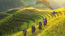 Báo Anh nêu 17 lí do 'khẩn thiết' đến Việt Nam
