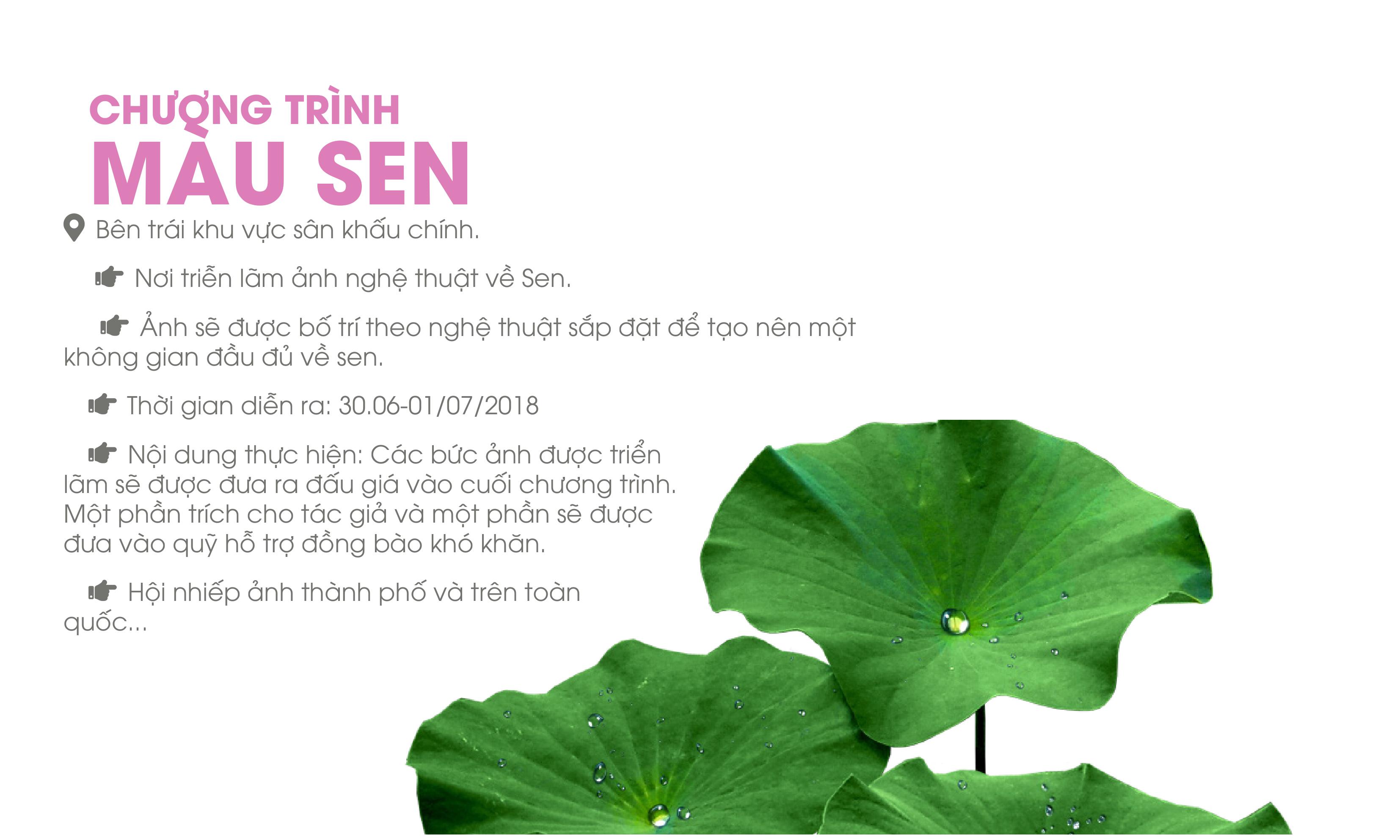 hue se to chuc le hoi sen tu ngay 296 17