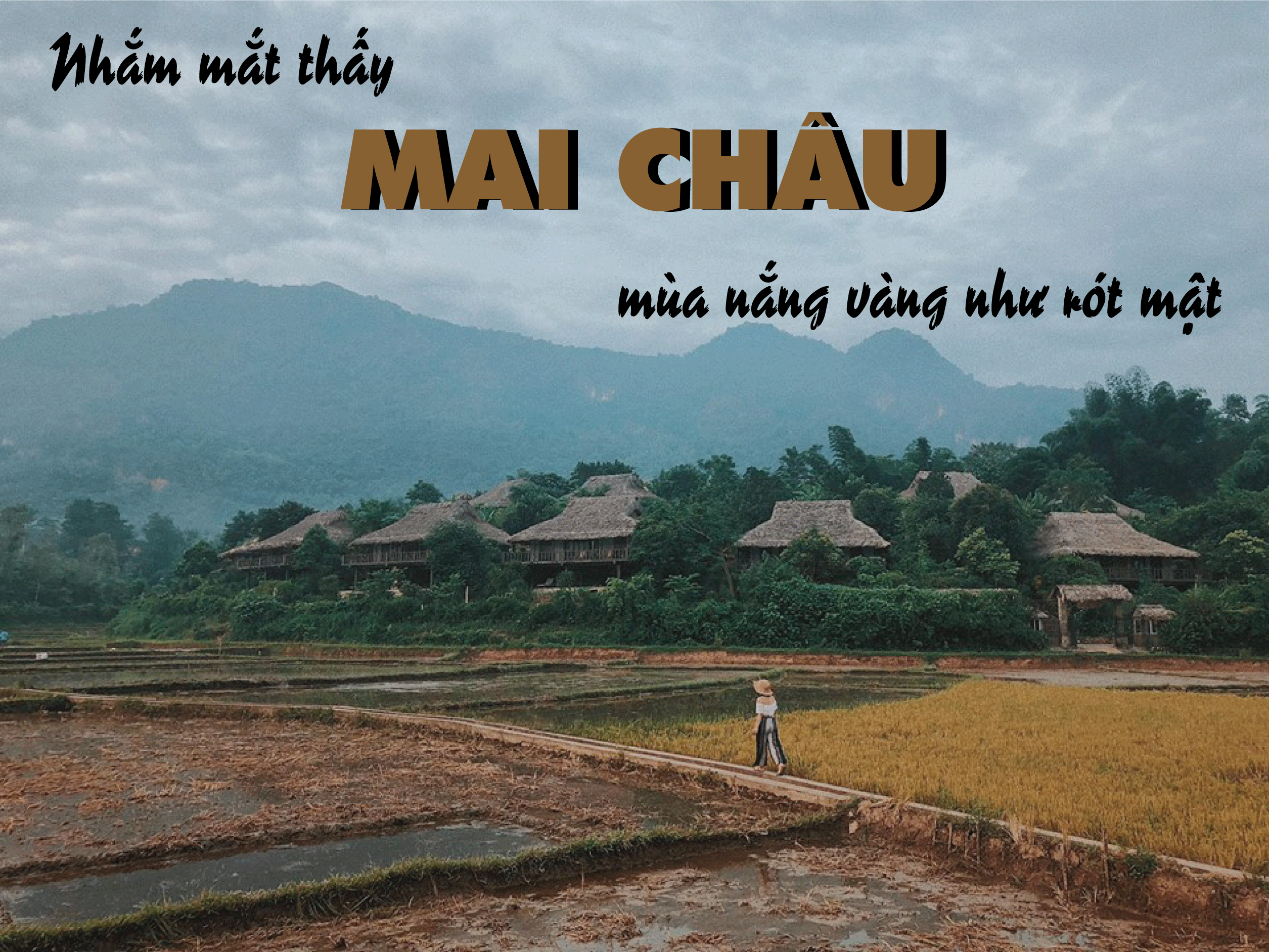 nham mat thay mai chau mo ve mua em thom nep xoi
