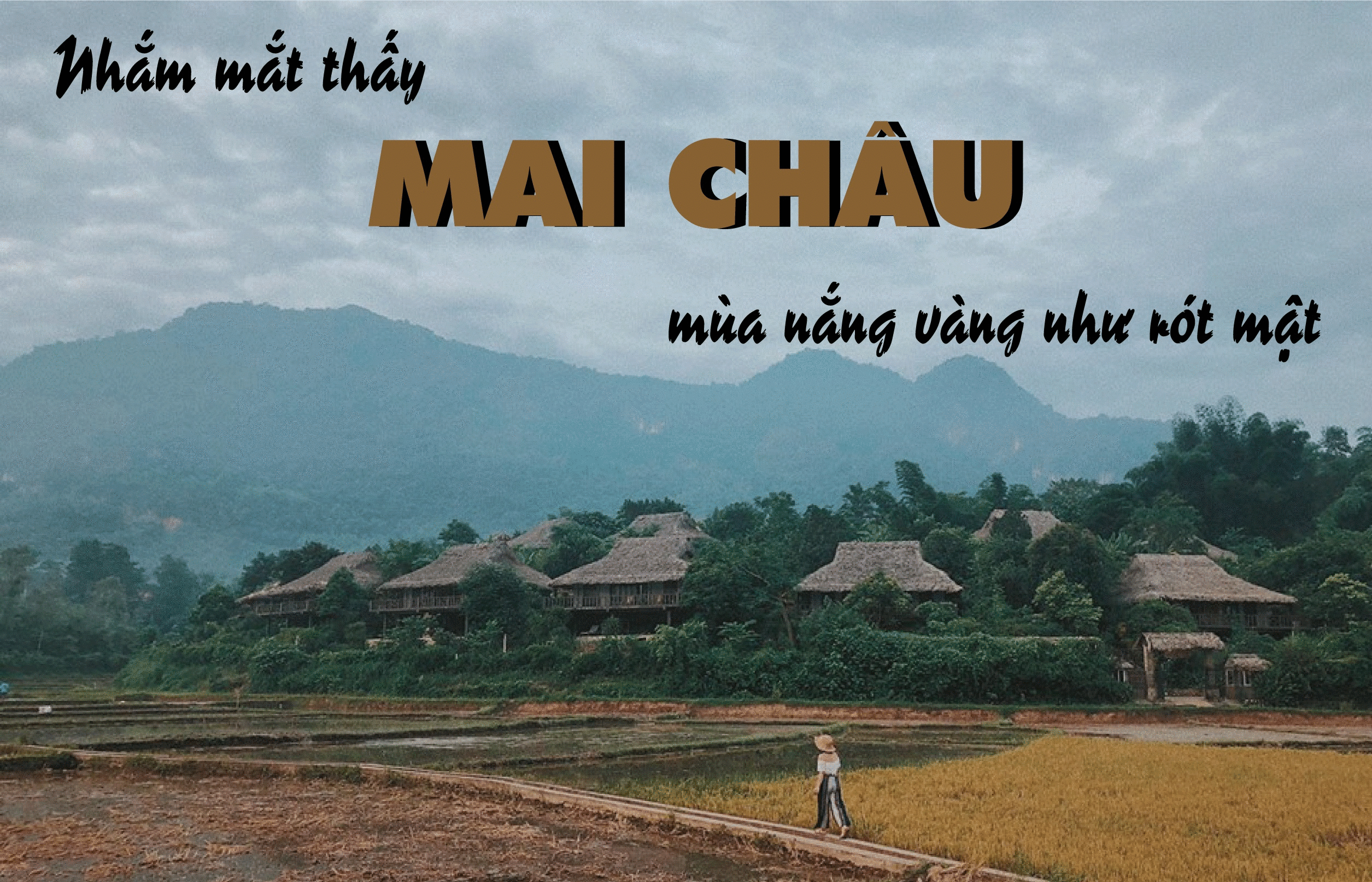 neu da qua chan nhung bai bien tai sao khong thu chinh phuc noc nha dong nai