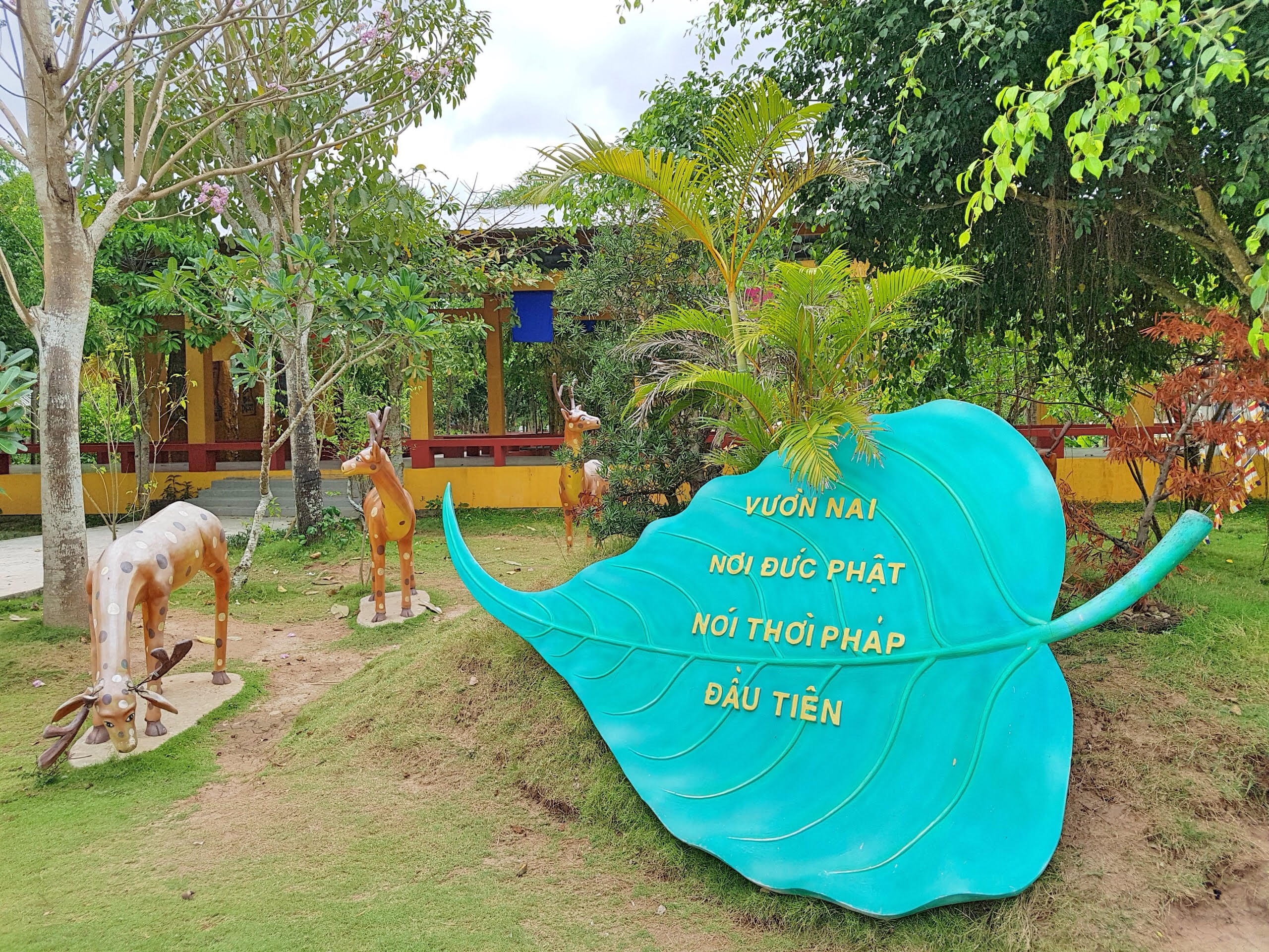 ve tham chua phat hoc 2 noi cuu mang nhung manh doi bat hanh mua vu lan