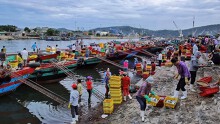 Cận cảnh một trong những bến cá sầm uất nhất Nghệ An