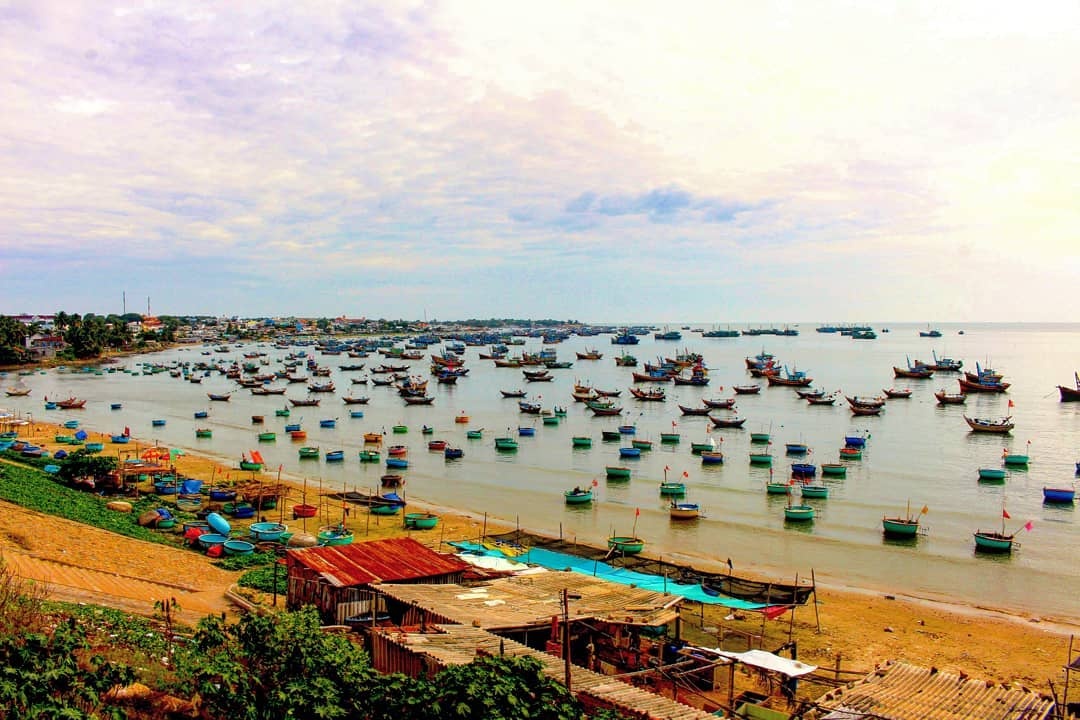 xot xa hinh anh bai bien mui ne trong mua cao diem cua rac