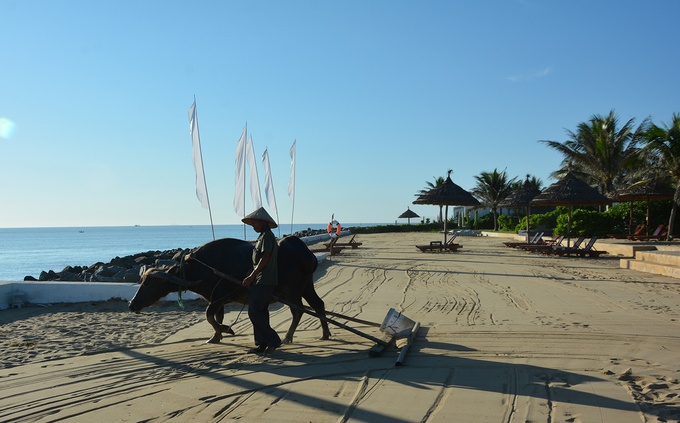 resort 5 sao o hoi an dung trau don bai bien moi ngay