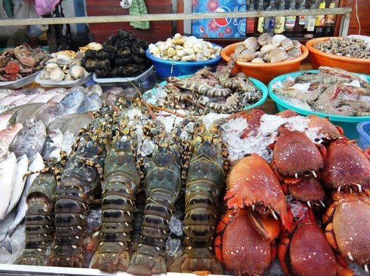du lich 29 goi y va huong dan lich trinh du lich cat ba