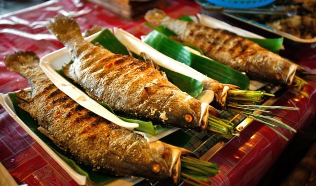huong dan tan chan cho nhom ban ve mu cang chai mua lua vang