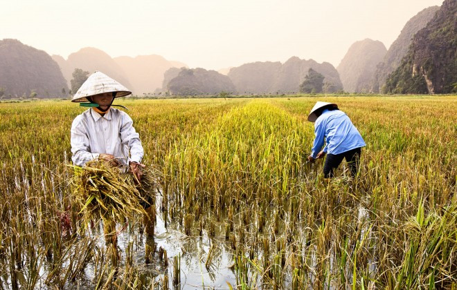 Việt Nam lọt top 10 điểm đến để tận hưởng 'Gap year' viet nam lot top 10 diem den de tan huong gap year