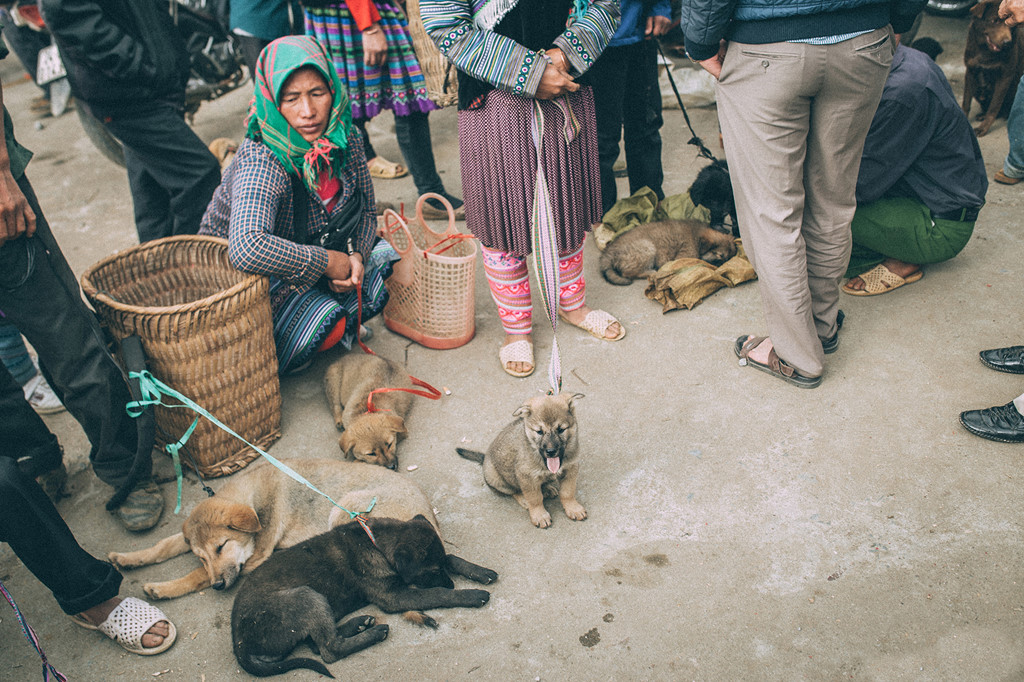 kham pha net van hoa doc dao cua cho phien bac ha