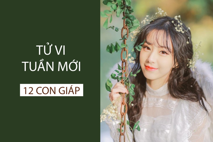 tu vi tuan moi 2910 411 cua 12 con giap tuoi ngo thang hoa tuoi dau can than bi lua