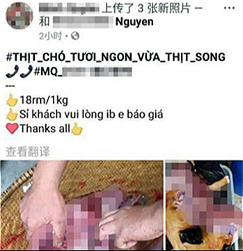 nhieu nguoi viet ra nuoc ngoai bi ghet vi hanh xu phan cam