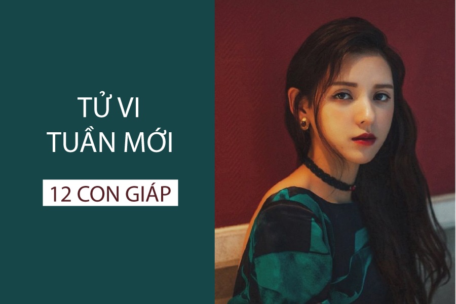 tu vi tuan moi 1211 1811 cua 12 con giap tuoi dau tinh cam roi ren tuoi ty do van