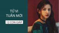 tu vi tuan moi 1211 1811 qua la bai tarot cay muon lang ma gio chang dung