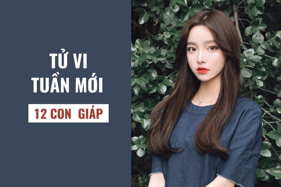 tu vi tuan moi 1911 2511 cua 12 con giap tuoi dan hao ton suc luc tuoi ty suon se