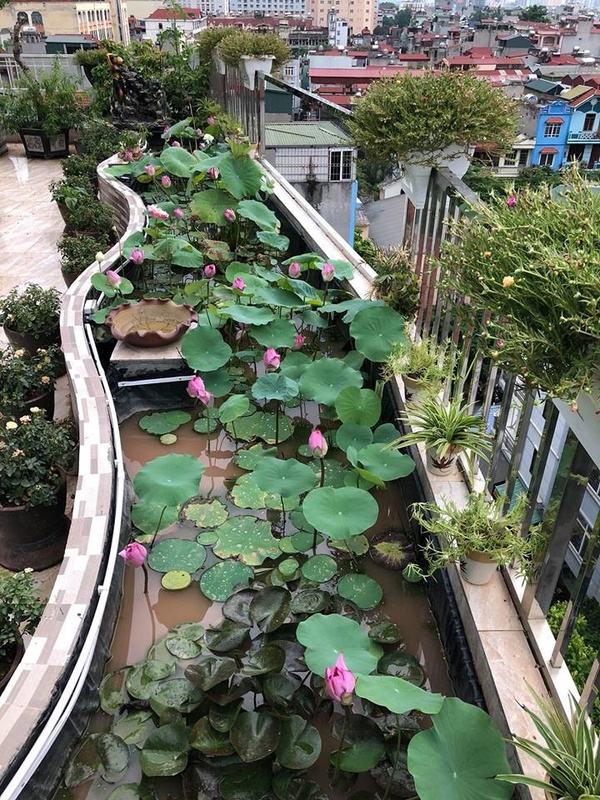 noc nha nhu chon bong lai cua gia dinh ha noi