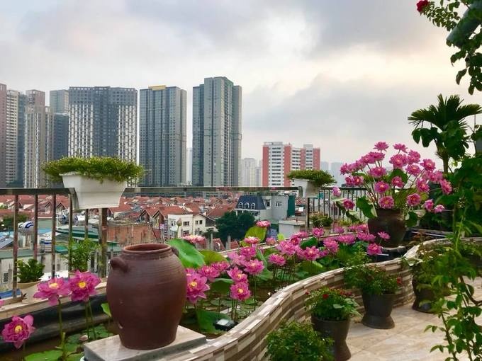 noc nha nhu chon bong lai cua gia dinh ha noi
