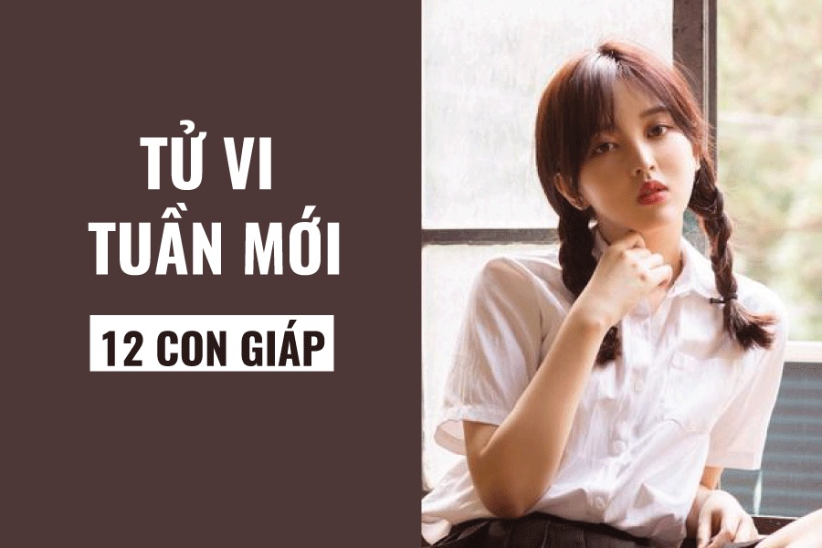 tu vi tuan moi 2611 212 cua 12 con giap tuoi mao cau kinh tuoi hoi di xa