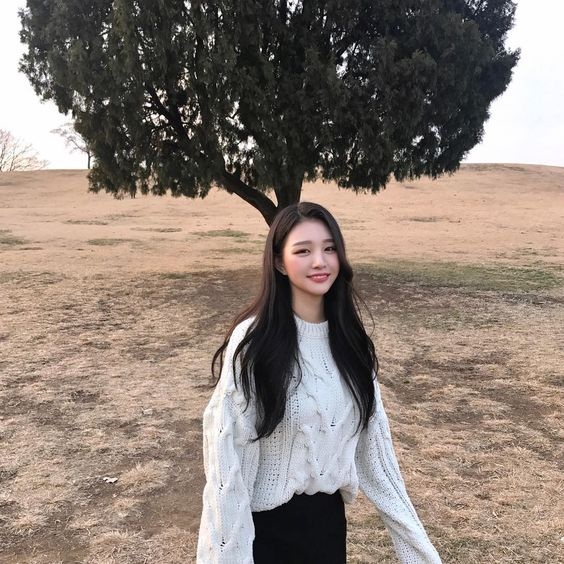 tu vi tuan moi 2611 212 cua 12 con giap tuoi mao cau kinh tuoi hoi di xa