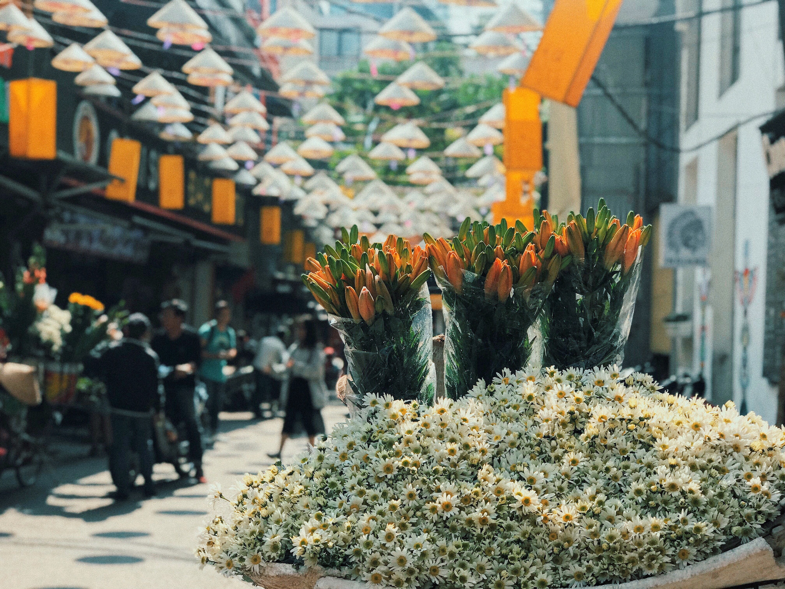Phố cổ Hà Nội 'thay áo mới' thu hút hàng nghìn du khách pho co ha noi thay ao moi thu hut hang nghin du khach