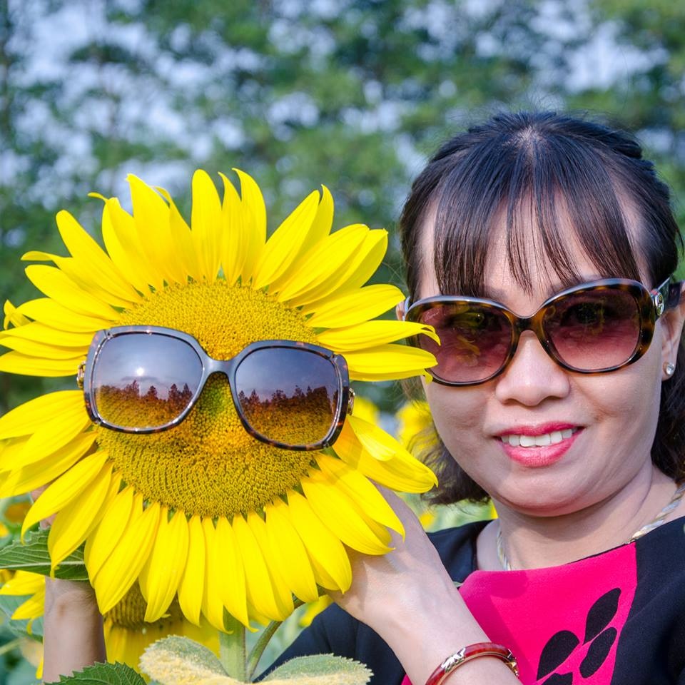 quen cuc hoa mi di canh dong hoa huong duong dep ruc ro giua long ha noi moi la diem ban can check in