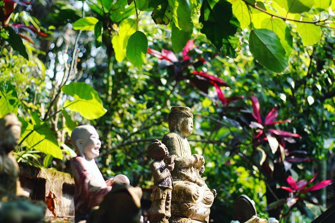 viet phu thanh chuong noi luu giu noi niem hoai co giua khong gian tinh lang