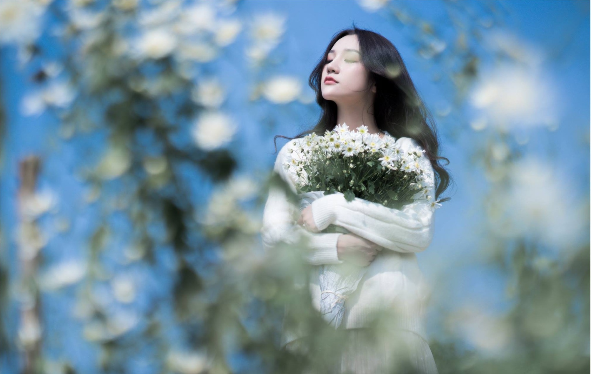 diem lai nhung buc anh trieu like mua cuc hoa mi 2018