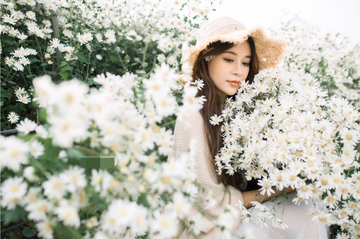 diem lai nhung buc anh trieu like mua cuc hoa mi 2018