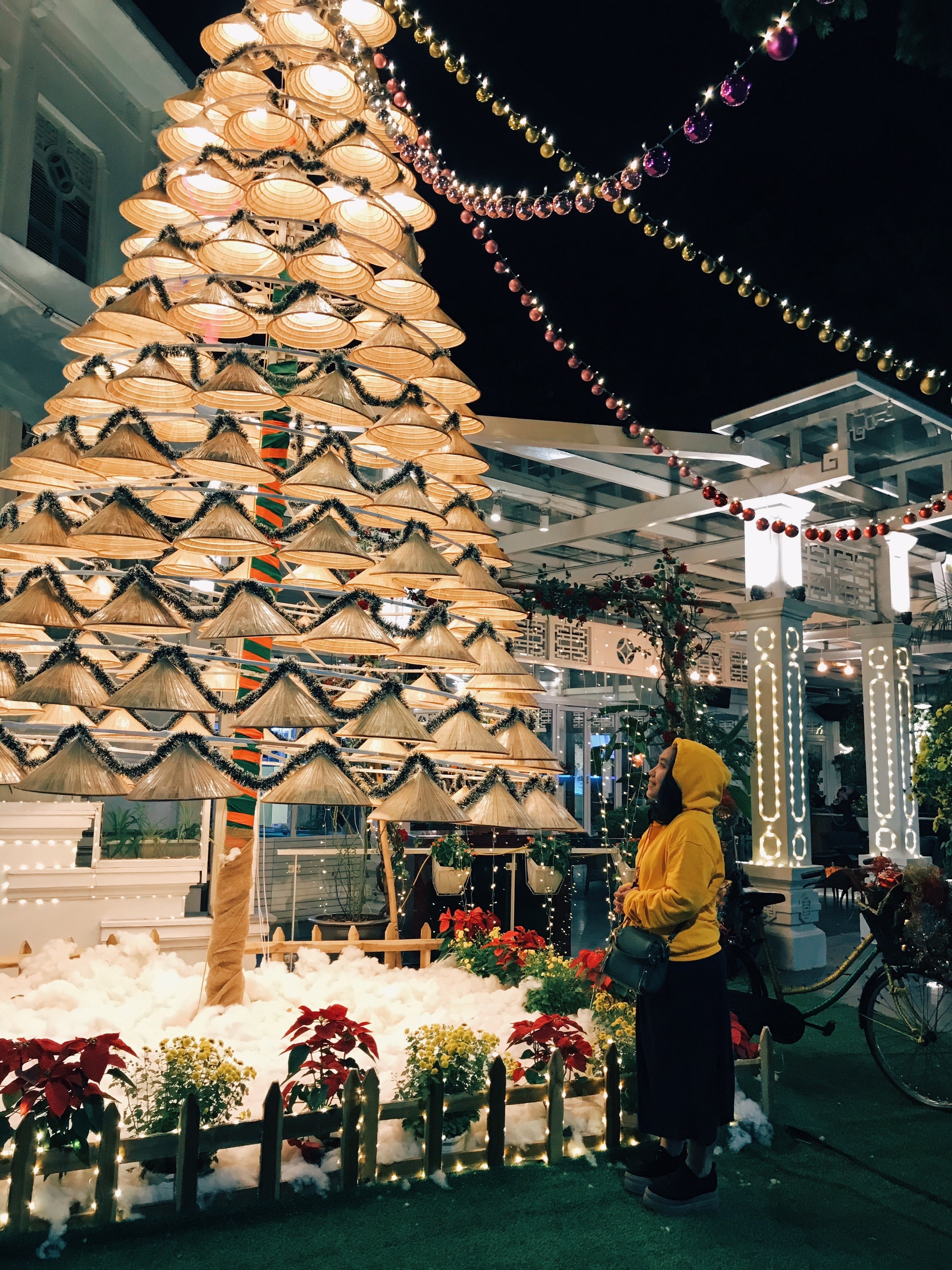 ha noi check in ngay keo lo cay thong non doc la mua giang sinh