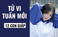 tu vi ngay mai 2412 ve cong viec cua 12 con giap tuoi ty can trong giao dich