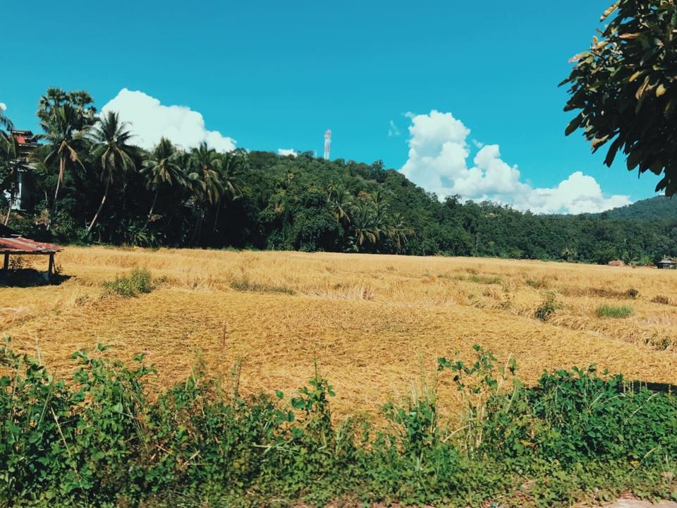 chuyen ke ban rak thai thi tran nho bi bo quen