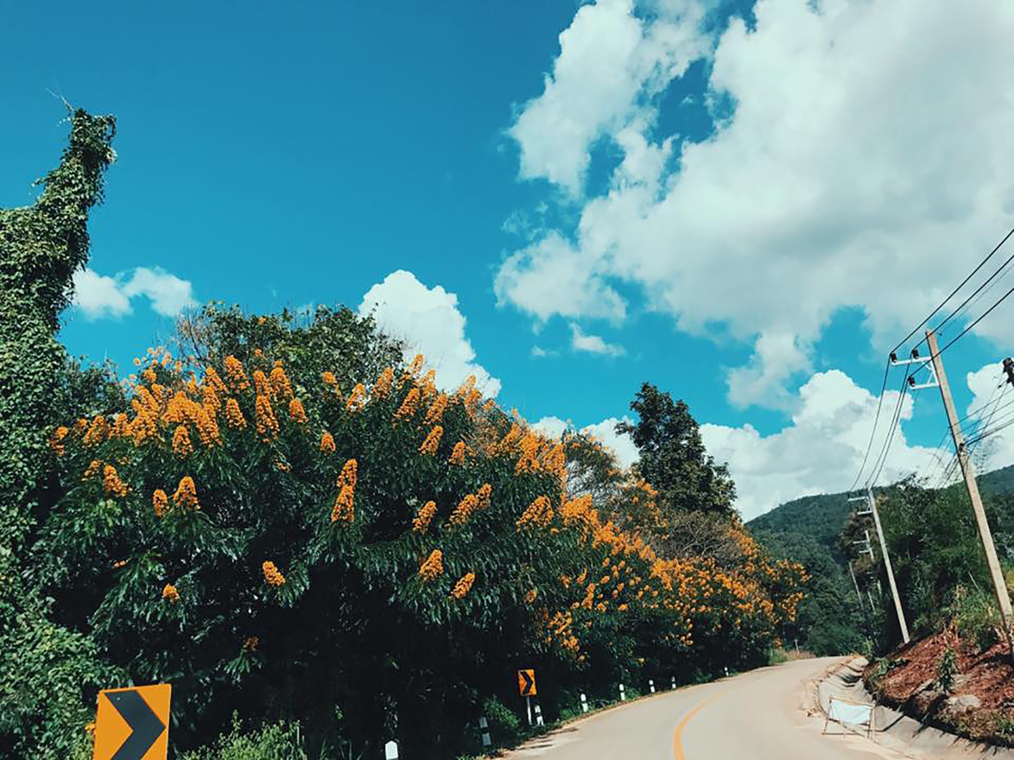 chuyen ke ban rak thai thi tran nho bi bo quen