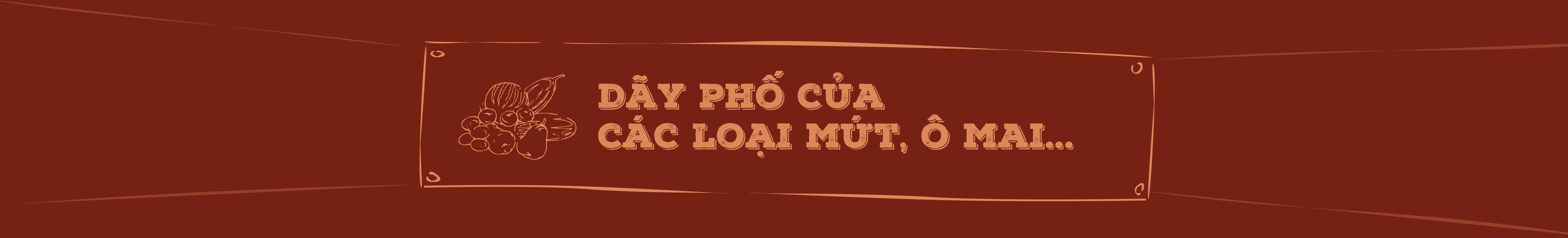 Ô mai - Mứt: Thức quà nao lòng gọi Tết về o mai mut thuc qua nao long goi tet ve