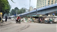 song canh bai rac nam son thu ca can ruoi moi ngay