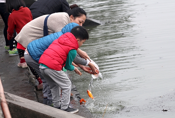 nguoi ha noi ron rang tha ca tien ong cong ong tao chau troi