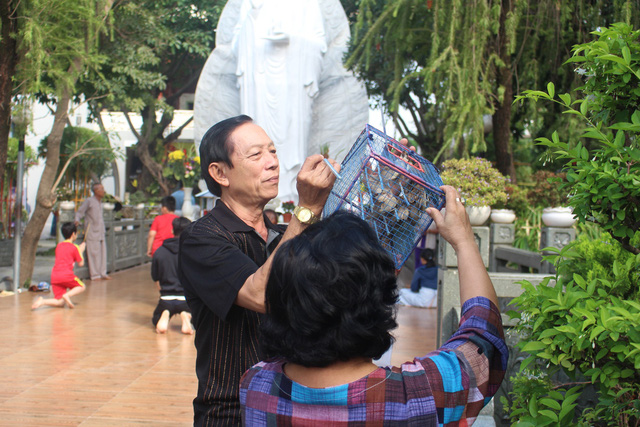 ca phong sinh ngay ong tao vua tha da bi chich dien bat lai o sai gon