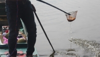 nam nay tao giao duc se bao cao gi voi ngoc hoang