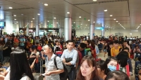 hy huu chim va dap lam cong canh quat tau bay o tan son nhat
