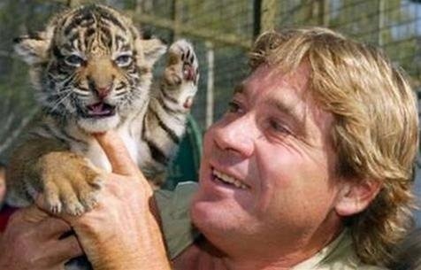 steve irwin tho san ca sau la ai