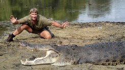 Steve Irwin - Thợ săn cá sấu là ai