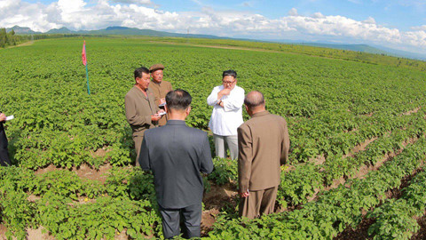 ten lua kinh te trieu tien co cat canh sau thuong dinh o ha noi