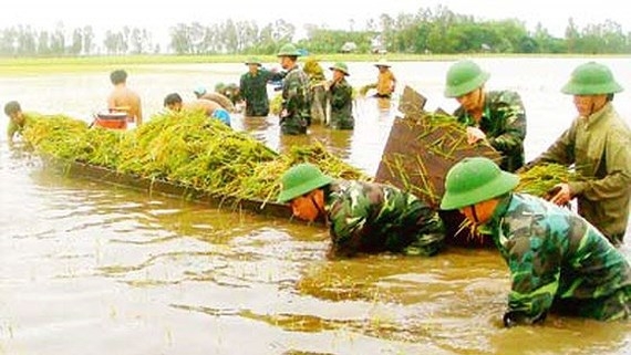 doanh nghiep dong quy thien tai 100 trieu dongnam
