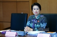 xem xet bai nhiem tu cach dai bieu quoc hoi voi ba phan thi my thanh
